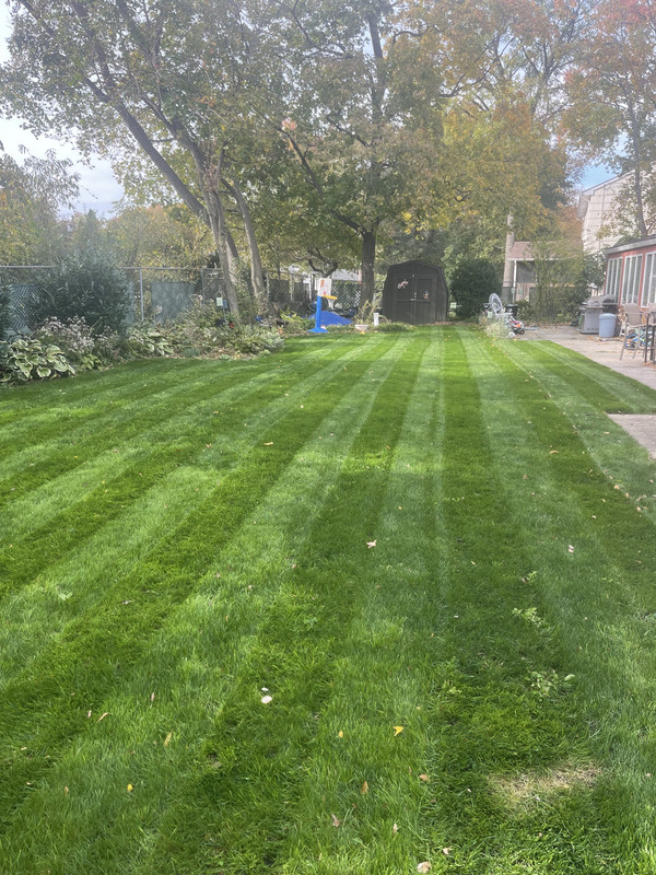 C7B1ABA8-0F80-462E-B09A-B612555E4D0D