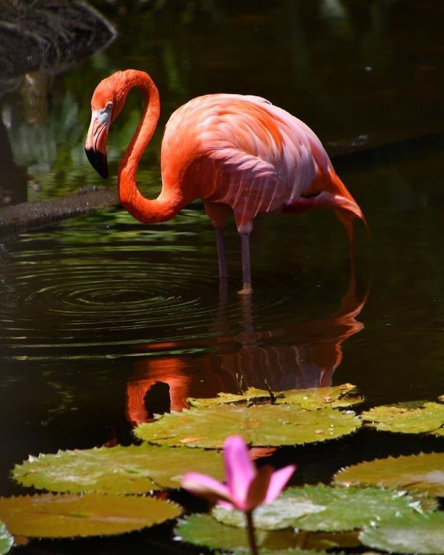 4DD99488 8BA4 4EAC B644 E05FEBB0FC6F