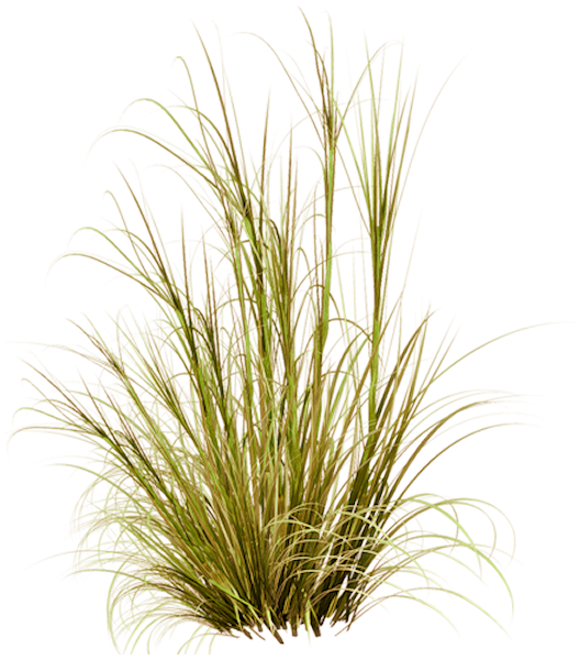 TADD_elements_ShimmerFall (101)