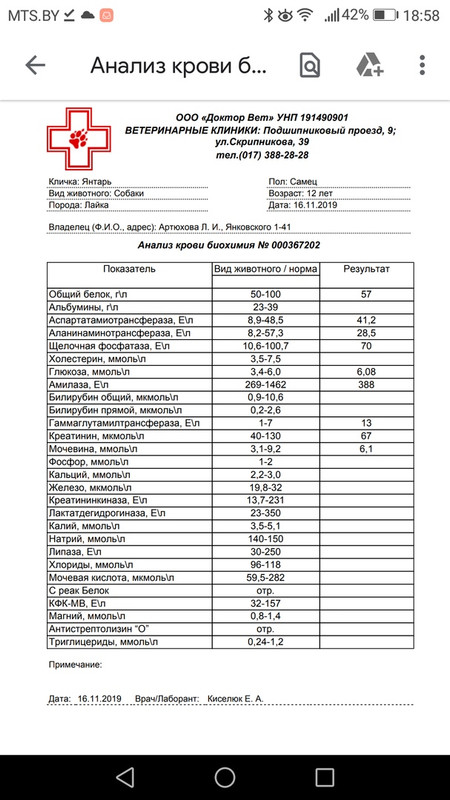 кровь Янтаря1
