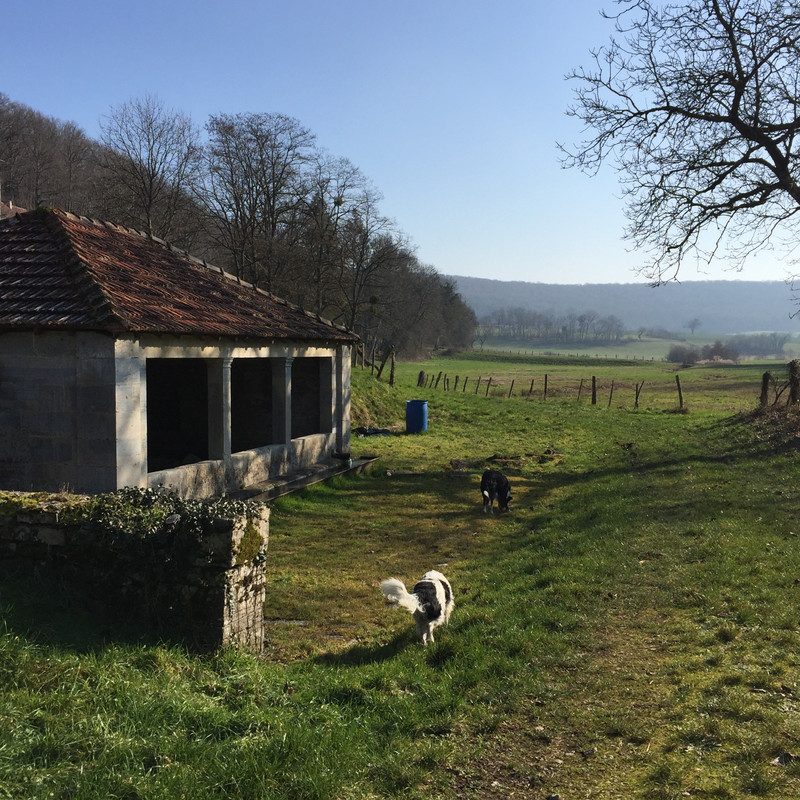 55FDFCA1-1D4D-47AB-AAD6-17304F375018