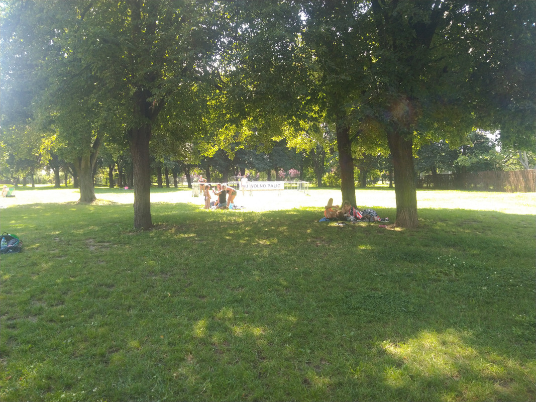 IMG-20210729-122946.jpg