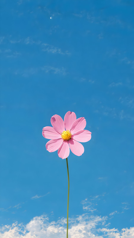 491440412_17873900943328121_5420919839869667993_n_upscaled