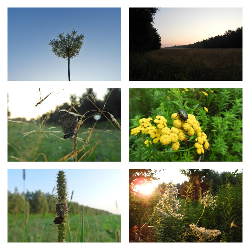 dziendobrydzisbedziegoraco