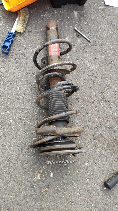 53101219_2346000205675383_2236177677599899648_o