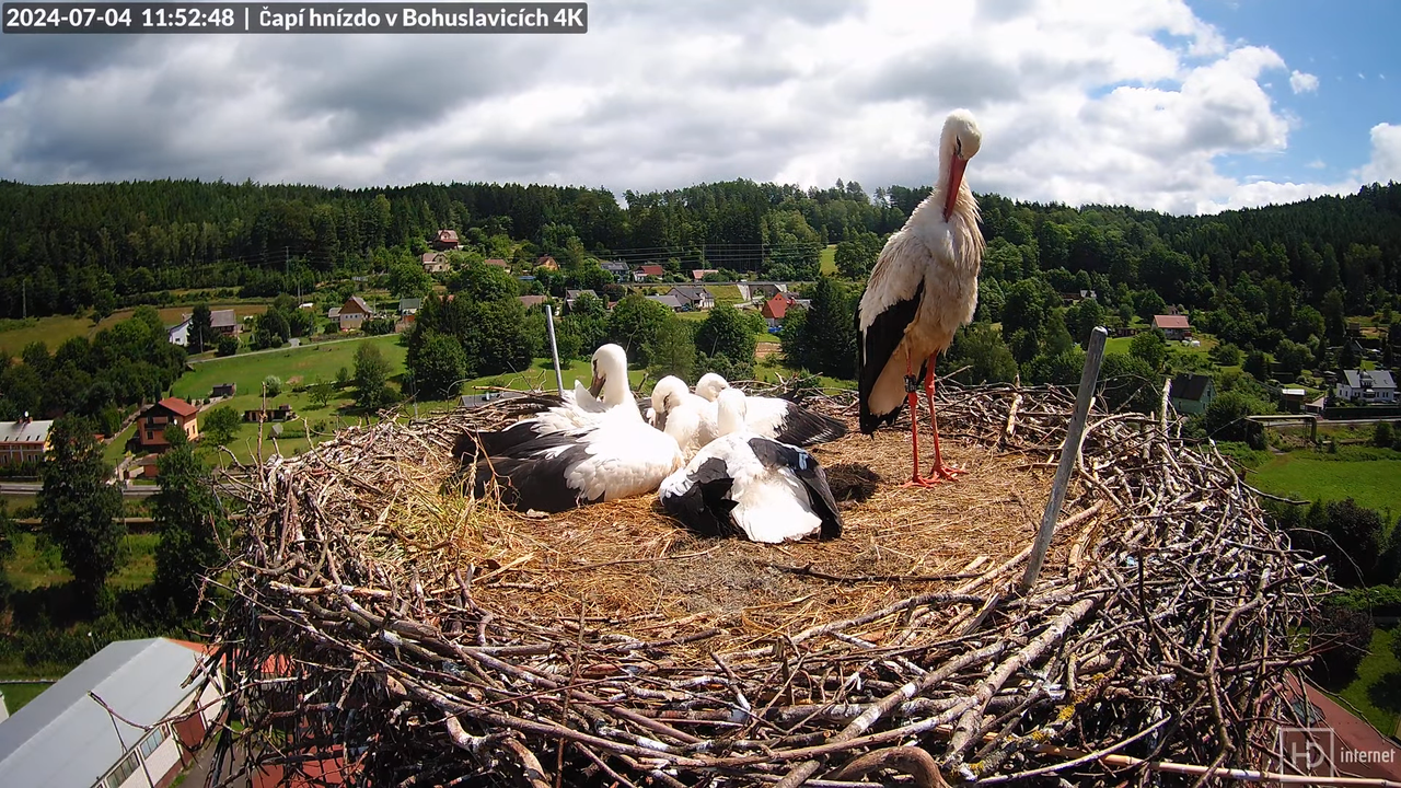 Tiešraidē no uzņēmuma KARA stārķa skursteņa Bohuslavicē pie Trutnovas 15-18-24 screenshot