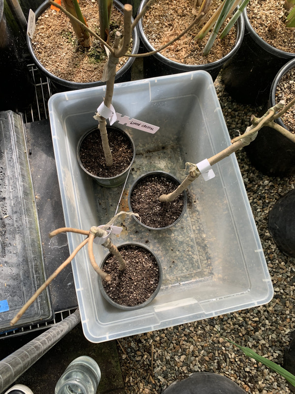 5841FA2E-9BD4-4816-8B9B-4A7F8C1CBD72