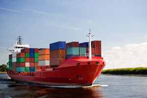 Marine Cargo Surveying