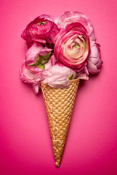 pink-flower-cone.jpg