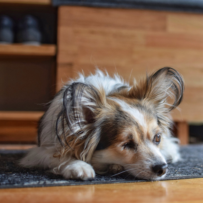 68B35B7B-607E-47AC-94D2-260E34EB4316