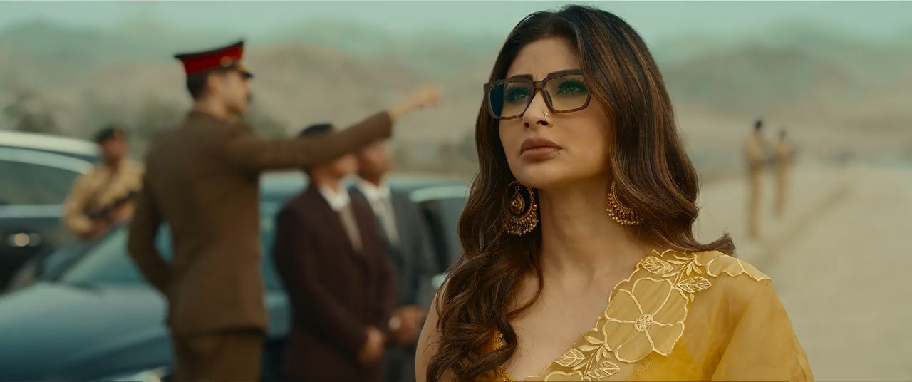Salakaar (2025) Season 1 [Hindi + Tamil + Telugu + Malayalam + Kannada] WebRip 480p 720p ESub - Complete Screenshot