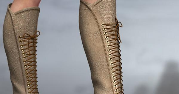 Tall Lace-up Boots For V4