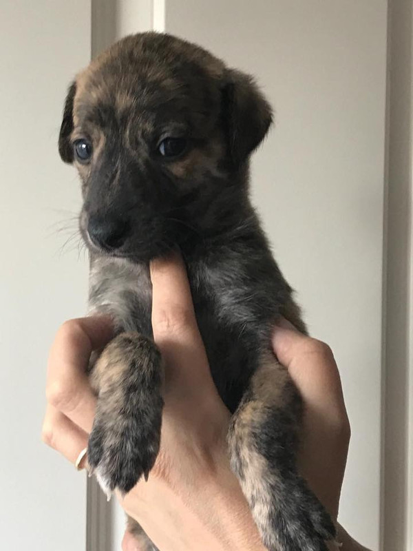 5AC7E58D-A7C3-4AB5-B59F-502B59E6591D