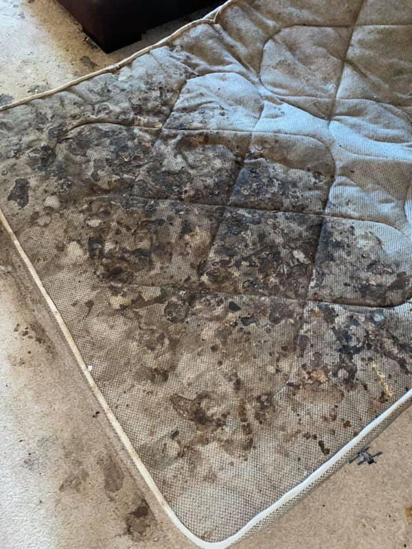 9C26732B-328F-4A89-A79E-18607A2C8763