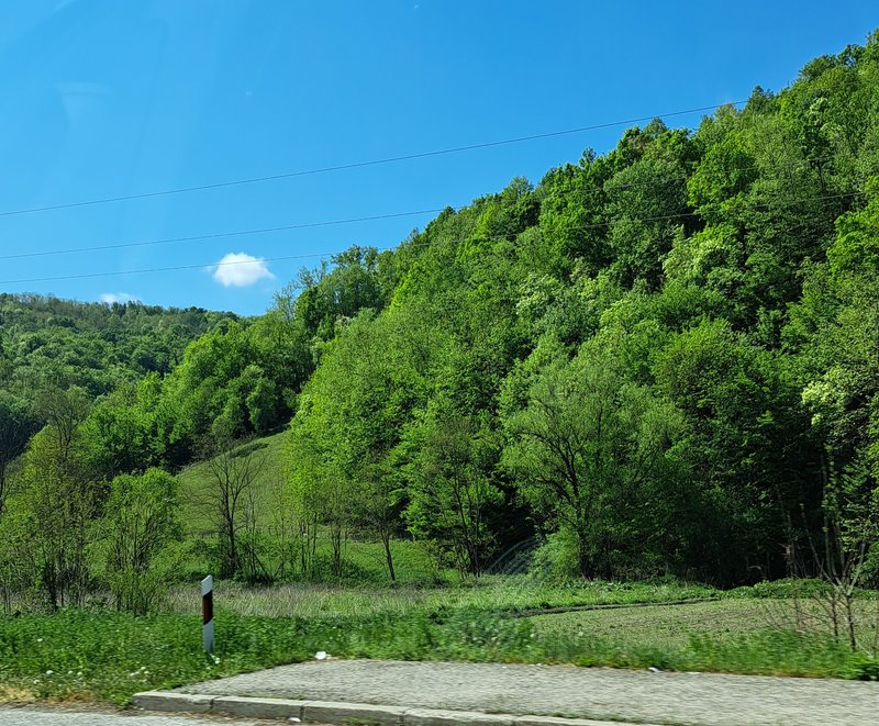 Slika