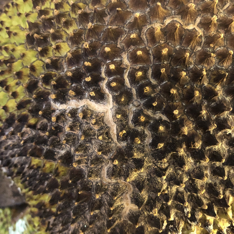 5B494A05-5C2C-4B7B-91F3-0AC26ED8F14E