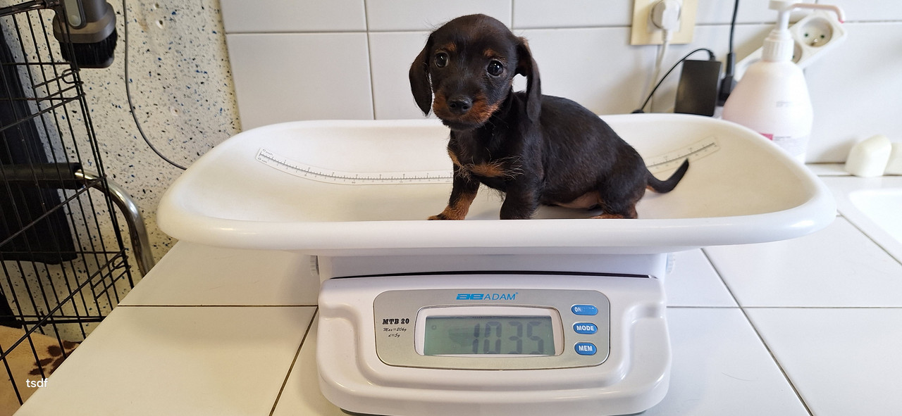 [Image: 20250606-180538.jpg]