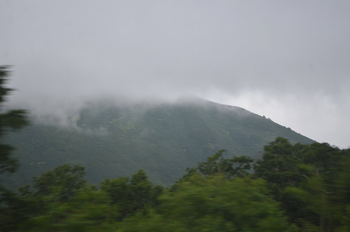 DSC-6893.jpg