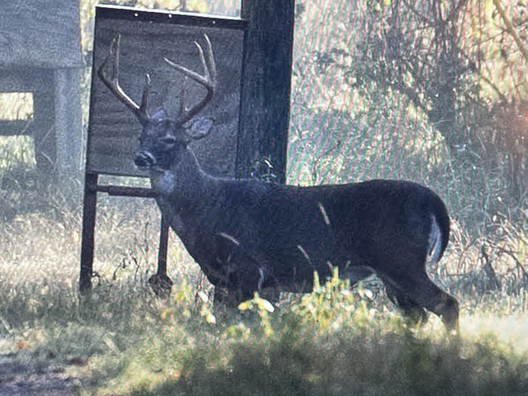 DBB34D54-6CD5-4B21-9D6A-23BCAEE8F859