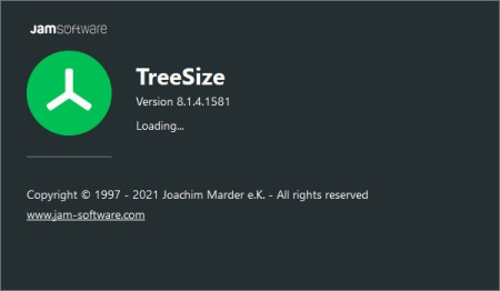 TreeSize Professional 8.1.4.1582 (x64) Multilingual