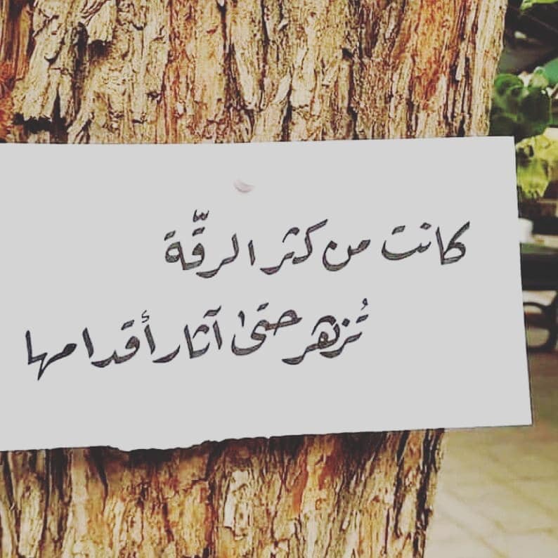 ���� ���� ������ �� ���� ������