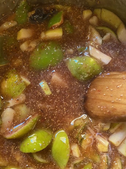 038B6F12-A83E-4647-ACD3-A557261A0936