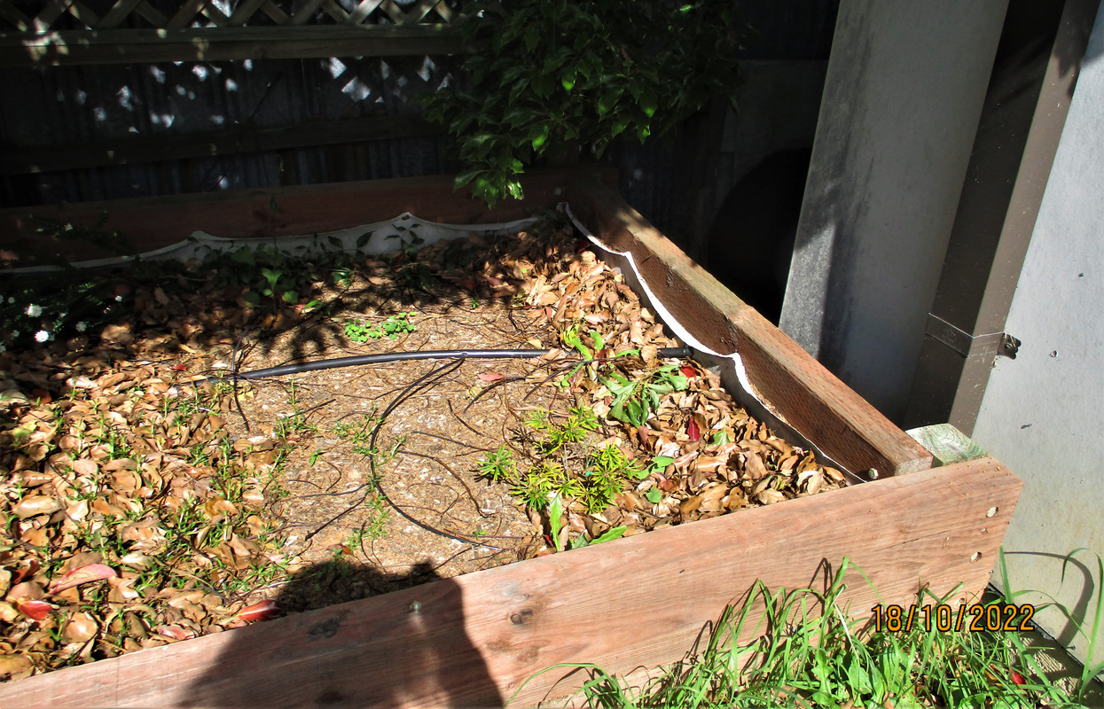 IMG_0171 S END 6X1_5 THEY ARE GROWING