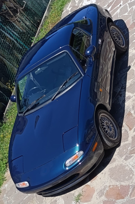 [Immagine: Senza-titolo.jpg]