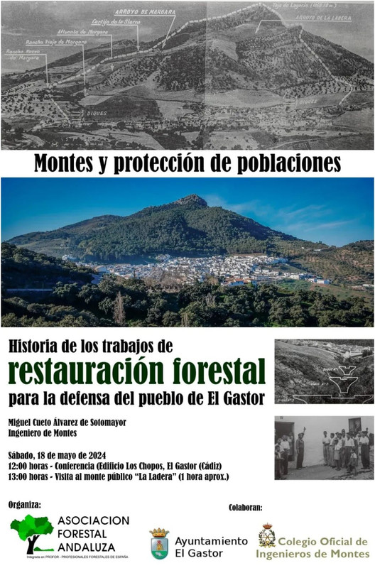 Historia de los trabajos de restauración forestal en El Gastor