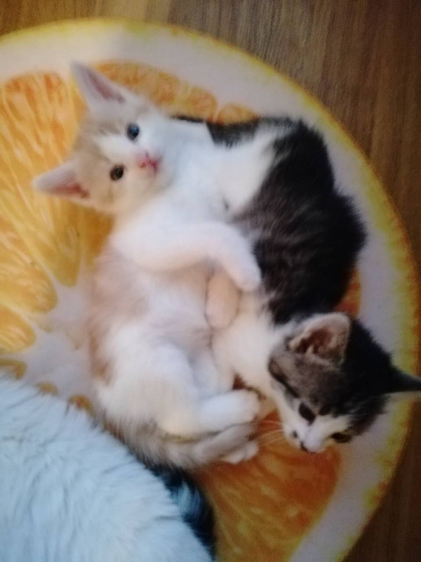 IMG_0041-27-10-18-02-51