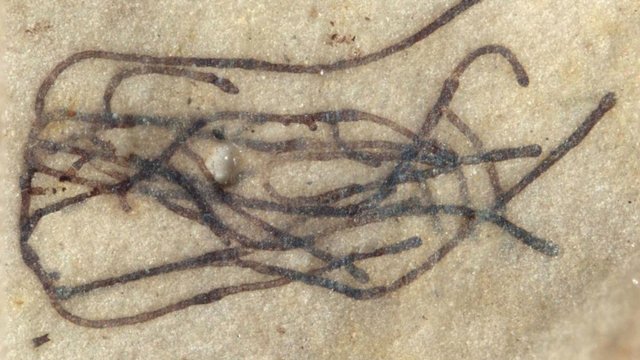 [Image: https-cdn-cnn-com-cnnnext-dam-assets-200...l-trnd.jpg]