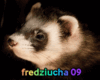 Avatar użytkownika