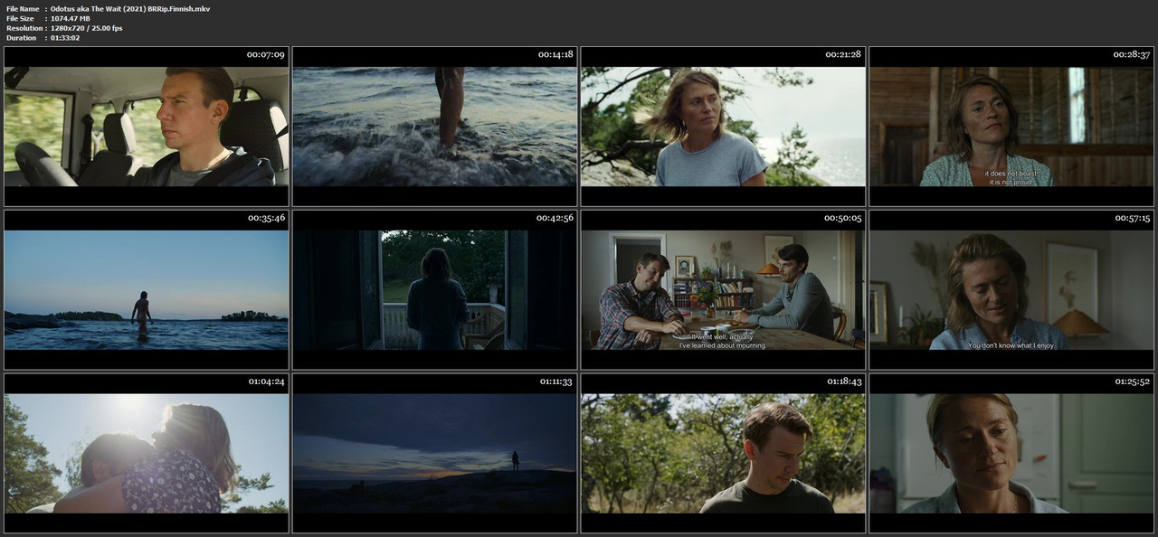 Odotus aka The Wait (2021) BRRip.Finnish.mkv