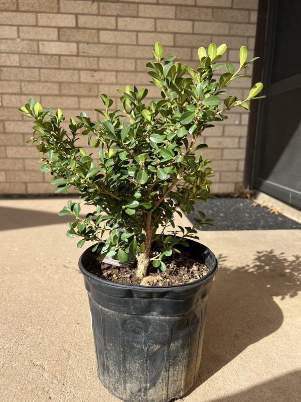 B4BDF780-EAE7-4201-BCA4-257948016157