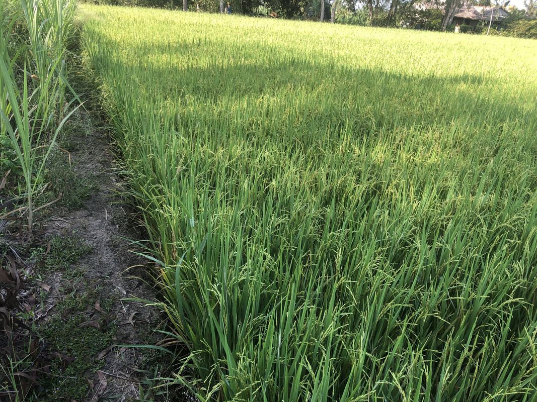 09CD2DF0-5148-438C-98C9-F8B88121C86E