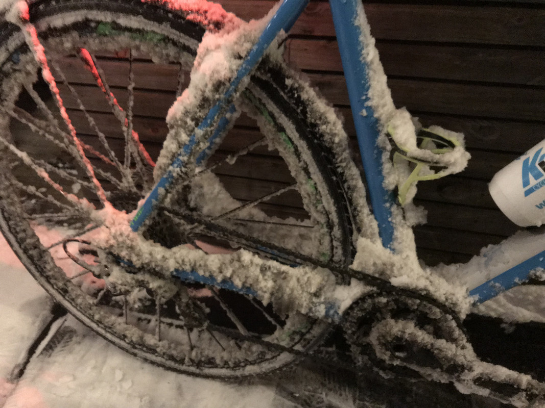 D5D29A95-2E8A-497A-8620-A04BD4A75D9E