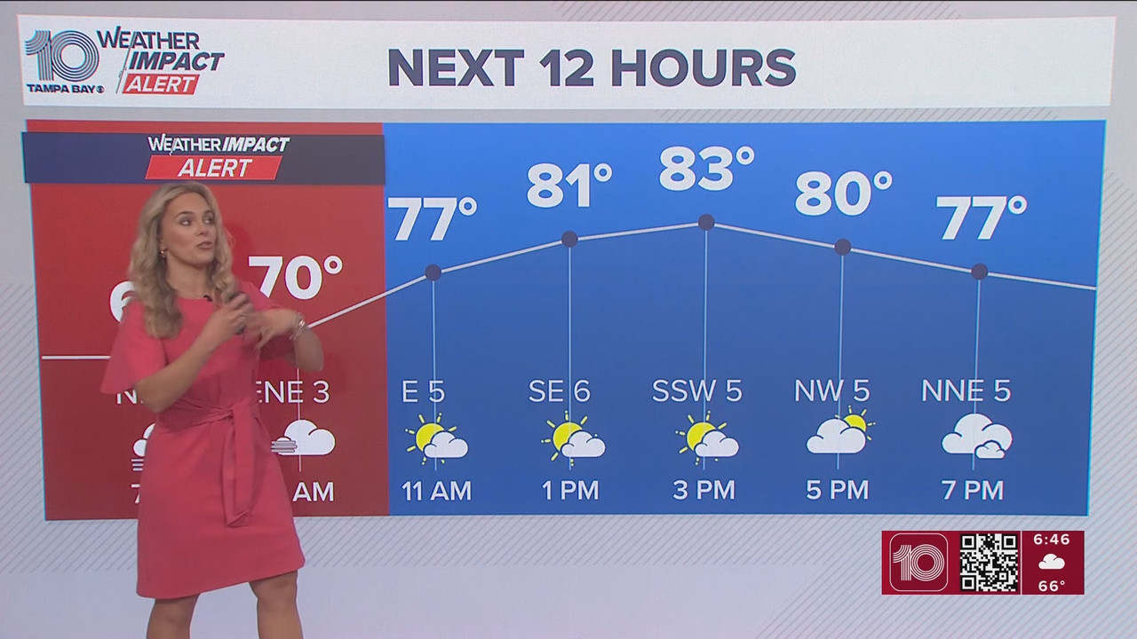 10 Tampa Bay News This Morning at 600 a m 20251124 11001200 ts snapshot 47 36 335