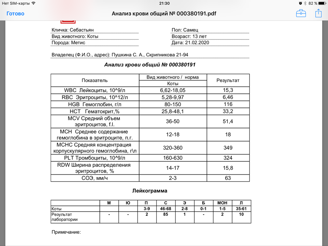 IMG 0195 — Postimages