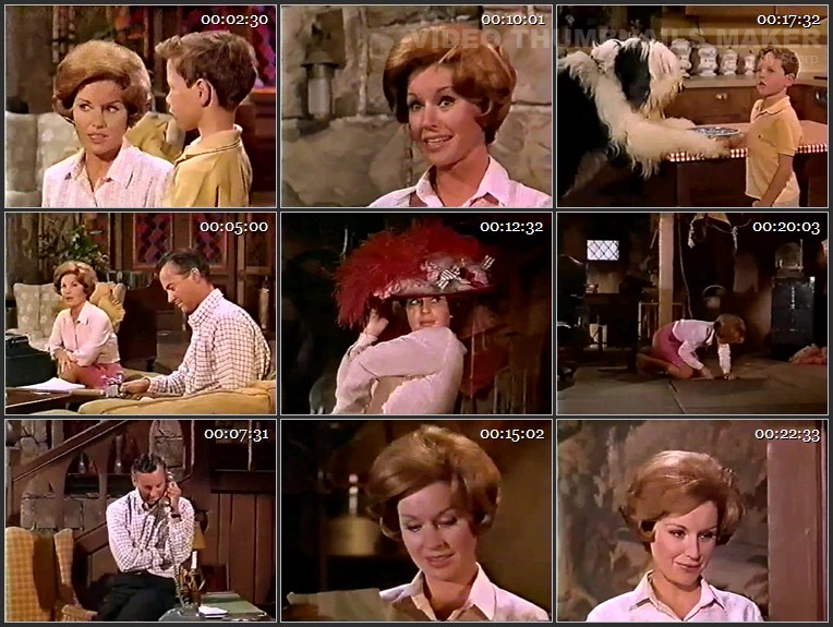 Please Don't Eat the Daisies - S01E03 - Who's Kicking That Gong Around.mkv