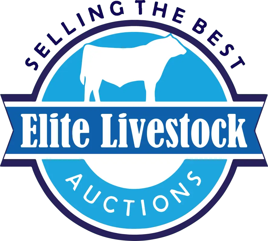 Elite Livestock Auctions