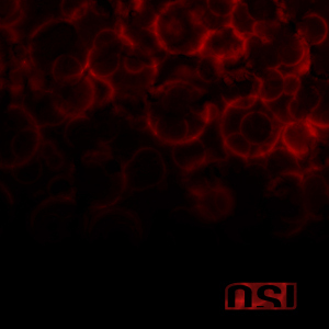 [Obrazek: OSI-Blood-Cover.jpg]