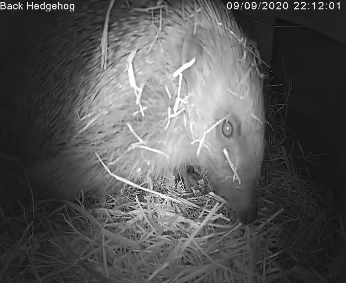 3A4F9F3B-A14B-48A0-ACAC-8EF4DC8EFCE5