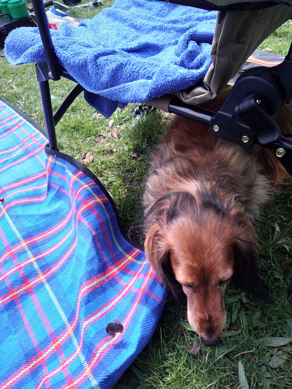 [Image: IMG-20220330-134458.jpg]