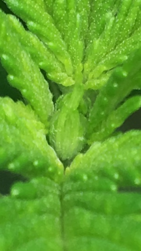 50A05F0C-D771-4780-9465-59FDC7499086