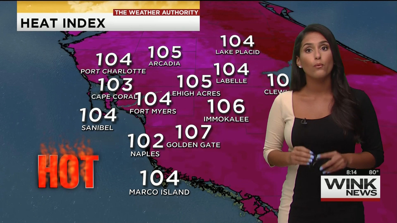 08.16 - 11.00.00 - WINK News @ 6 00AM Sunday..ts_snapshot_00.15.56.003