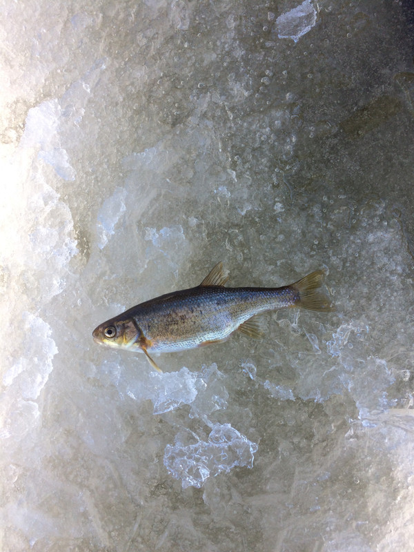 A7EEBB5B-4F94-4782-A4DD-1FDAB0387A21