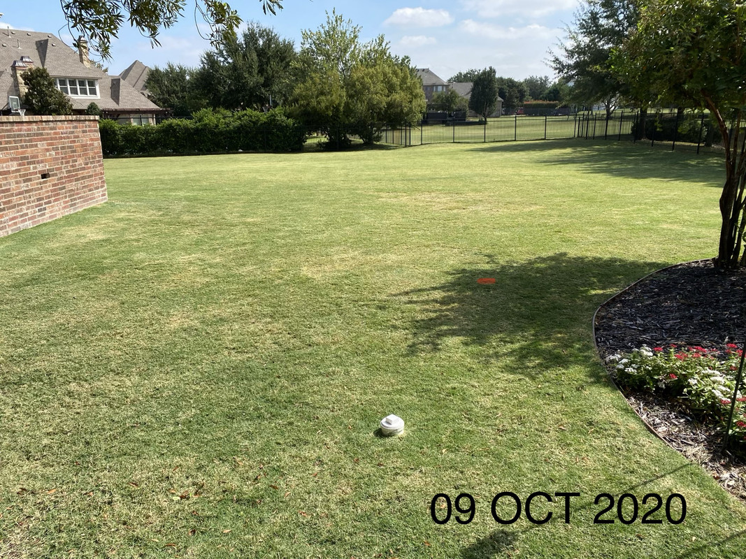 B1565DDE-B91D-4987-B1A6-EFDDB4E7D7D4