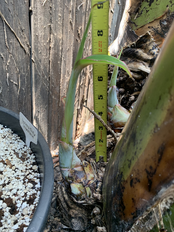 505D1D8F-3458-47E5-85A1-AF9B708779A5