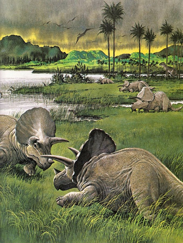 bebaca8a9f16bbbf847f7b7ad6694e6e