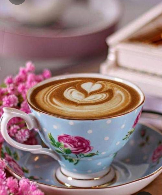 Screenshot_20230309_231049_Pinterest